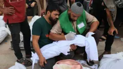 Funcionarios sanitarios identifican un niño muerto