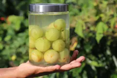 Mano sosteniendo frasco con grosellas en agua salada
