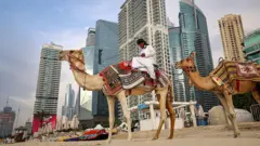 Dois camelos em uma praia vazia em Dubai (EAU), com arranha-céus ao fundo