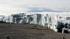 Kilimanjaro