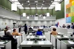 senato 