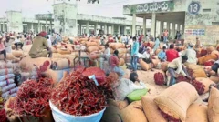 మిర్చి పంట, గుంటూరు, మిర్చి యార్డు, చంద్రబాబు, ఏపీ ప్రభుత్వం, కేంద్ర ప్రభుత్వం