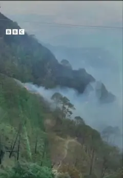 ForestFire