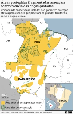 Mapa mostra separação física entre unidades de conservação no habitat da onça-pintada