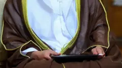 مشاور دیپلماتیک رئیس امارات متحده عربی