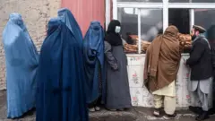 ارشیف تصویر