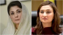 مریم نواز، مسلم لیگ ن، مریم نواز