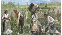 plantaçãotimemania 1809algodão com trabalhadores escravizados