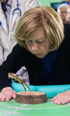 Šampionka Jadranka: Takmičenje u skakanju žaba