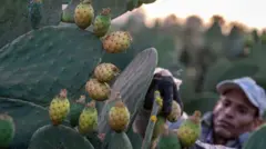 प्रातिनिधिक फोटो