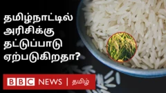 தமிழ்நாட்டில் அரிசி தட்டுப்பாடு ஏற்படுமா? விலை தொடர்ந்து அதிகரிப்பது ஏன்?