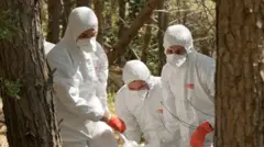 الخوذ البيضاء