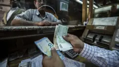 univerzalni osnovni dohodak