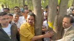 नाशिकच्या तपोवनातली झाडं