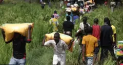 Aworan bi wọn eeyan se n ko ounjẹ