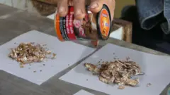 ગુજરાતમાં માવા ખાવાનું ખાસ્સું ચલણ જોવા મળે છે.