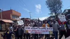 ሰላማዊ ሰልፈኛታት