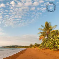 Praia deserta com palmeiras na Costa Rica