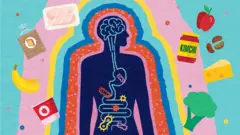 رسم يربط دماغ الإنسان بأمعائه، مع رسومات لأطعمة بينها كيمتشي والبروكلي والموز في محيط الجسم