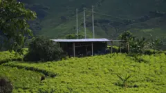 Laboratorio de pasta de cocaína en Micay, Cauca, Colombia.
