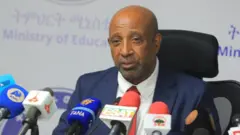 ፕሮፌሰር ብርሃኑ ነጋ፣ የትምህርት ሚኒስትር