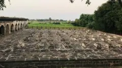 அஃப்சல்கான்