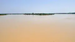 ኒጀር ወንዝ