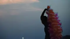 தமிழ்நாட்டில் பஞ்சு மிட்டாய் விற்க தடை