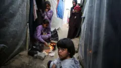 ۲ میلیون نفر جمعیت غزه «با میزان شدید ناامنی حاد غذایی» روبرو هستند 