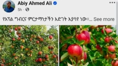 Ergaa MM Abiy miidiyaa hawaasaa irratti maxxansan