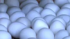 هګۍ