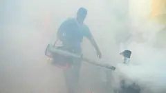 कोइम्बतूरमधील अन्नूर येथे डास पळवण्यासाठी करण्यात आलेल्या धुरामुळे दोन जणांचा मृत्यू झाल्याचा आरोप आहे. (फाइल फोटो)