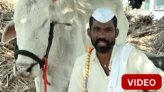 பார்வையற்ற காளையை 12 ஆண்டுகளாக சொந்த மகன் போல கவனிக்கும் விவசாயி