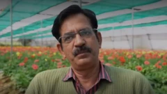 રંગબેરંગી ફૂલોની ખેતી