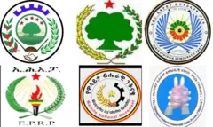 Paartilee mormituu gamtaa Kookas keessa jiran