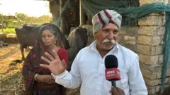 ઉનાકાંડ, ઉનામાં દલિત સાથે મારામારી, વર્ષ 2016નો કેસ, વેરાવળની કોર્ટે ચુકાદો આપ્યો, કેમ 35 આરોપીઓ છૂટી ગયા, બીબીસી ગુજરાતી