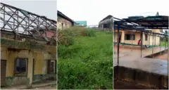 Ụlọakwụkwọ ebe ahịhịa tojuru nakwa gbamgbam e ji mechie elu ụlọ mebichara emebi