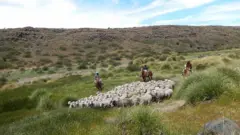 Homens a cavalo com um rebanho de ovelhas na Patagônia