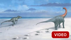 டைனோசர் 