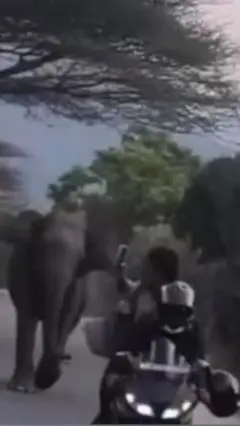மூணார் சாலையில் துரத்திய யானை - ஆபத்தை உணராமல் வீடியோ எடுத்த இளைஞர்