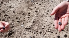 ከለዲ ገራሩ በቁፋሮ የተገኙ የጥርስ ቅሪተ አካላት