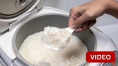 RICE COOKER