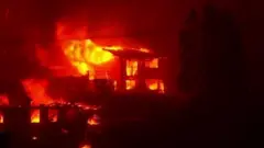 Ibidda Bosona Chiilii