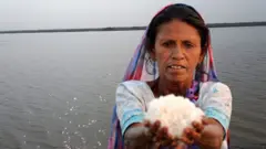 અગરિયા બીબીસી ગુજરાતી