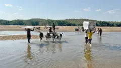 Pipo dey cross di Limpopo River from Zimbabwe into South Africa