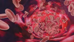 เลือดเทียมจะเป็นอีกความหวังใหม่หรือไม่ 