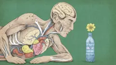 रोजच्या वापरातील प्लास्टिकच आपल्या आजारांना जबाबदार ठरतंय का? 