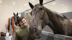 Конь Йоги в конюшне