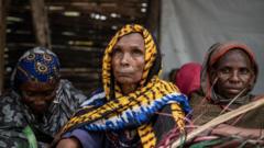 Türkiye Sudan'daki iç savaşa nasıl yaklaşıyor?