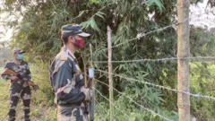 ভারত বাংলাদেশ সীমান্তে প্রহরারত বিএসএফ সদস্য - ফাইল চিত্র
